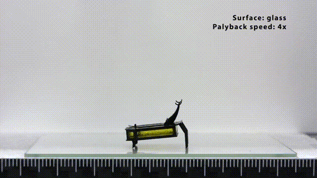 6.gif